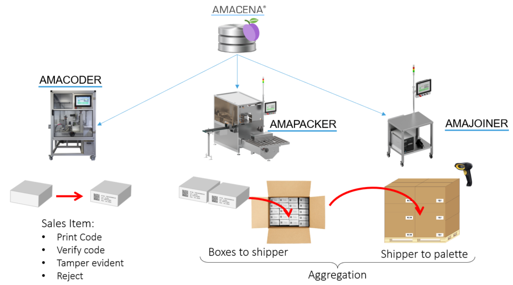 AMACENA STRUCTURE